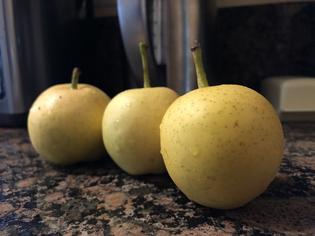 Three tiny Asian pears from a tree in my backyard